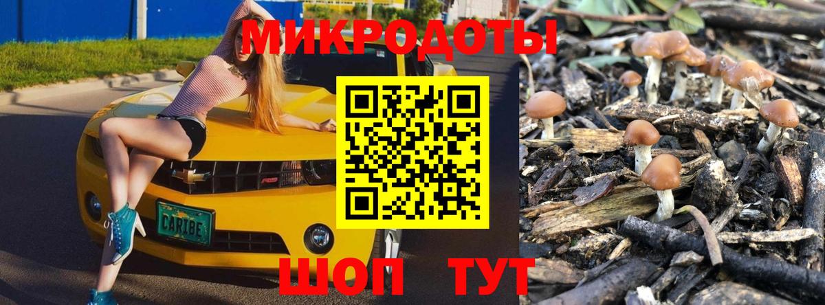 Жуковский  Галлюциногенные грибы MAGIC MUSHROOMS  Вход с VPN 